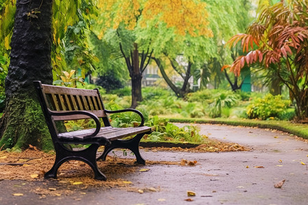 秋天落叶的椅子背景图片