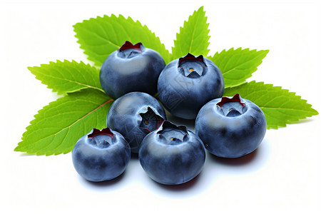 多汁成熟的蓝莓背景图片