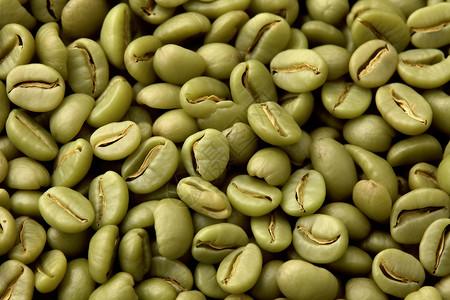 未经烘焙的咖啡豆背景图片