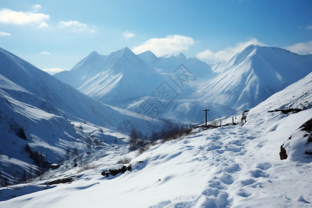 山脉中的冰雪和树木图片