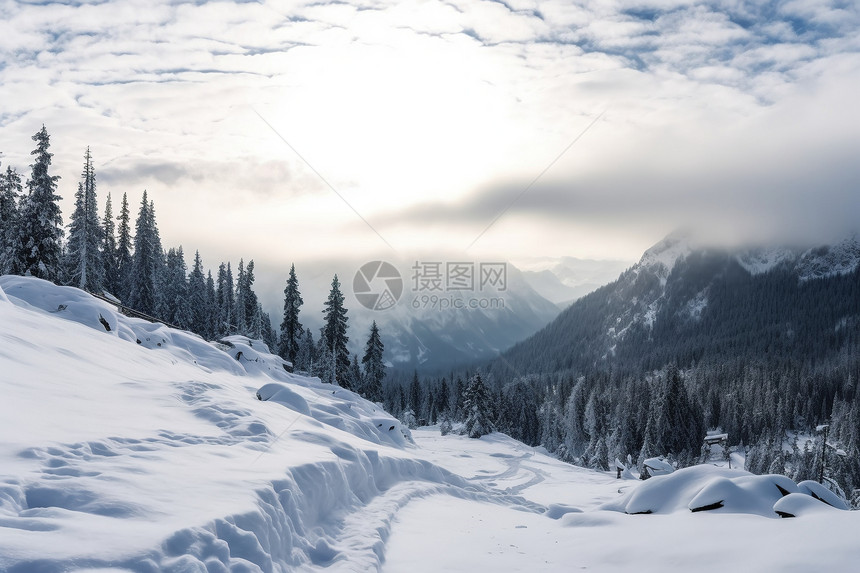 冬季雪地风景图片