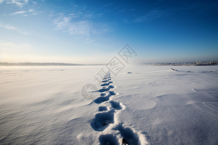 冬季雪后的平原图片