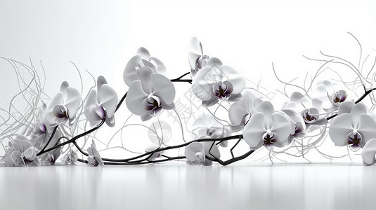 白色兰花未来派透明纹理的兰花排列设计图片