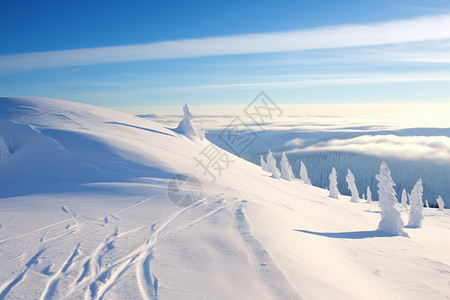 雪山雪地图片