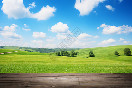 夏天乡村草原的景观图片
