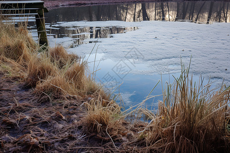 冬天公园结冰的湖面图片