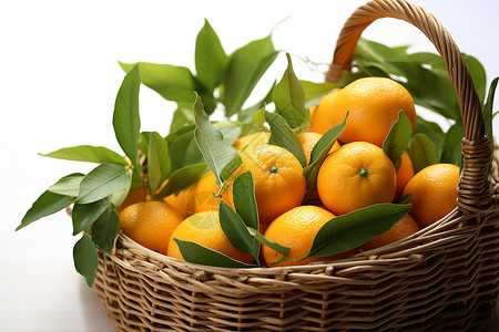 美味的水果橙子图片