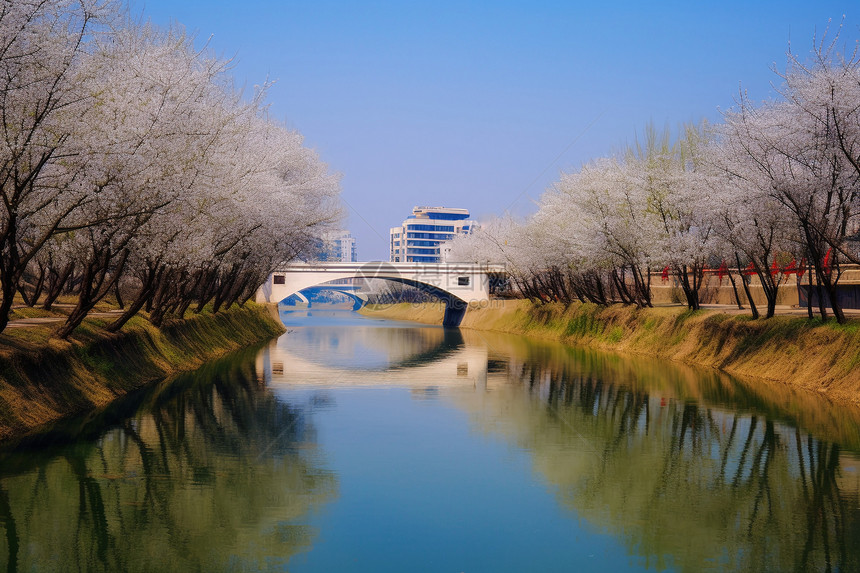 城市中的民心河景观图片