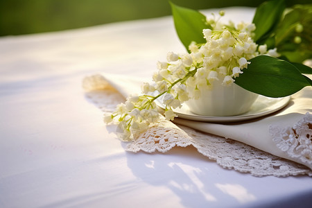 春天的白色花朵图片