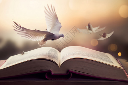 站在书本上在书本上飞的鸟背景
