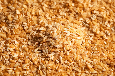 谷物小麦小麦胚芽高清图片