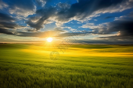 早上的太阳草原上的日出背景
