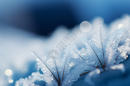 大雪天气寒冷天气冰冻的雪花设计图片