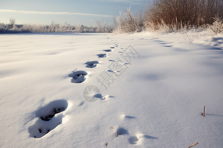 好冷啊雪地中的脚印背景