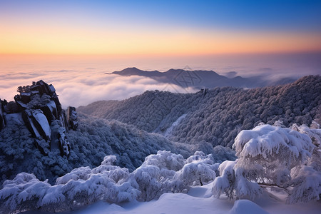 冬天黄山的美丽景观图片