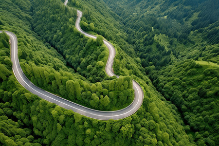 夏天丘陵森林中的道路背景图片