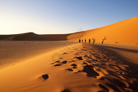 夏季沙漠的美丽景观图片