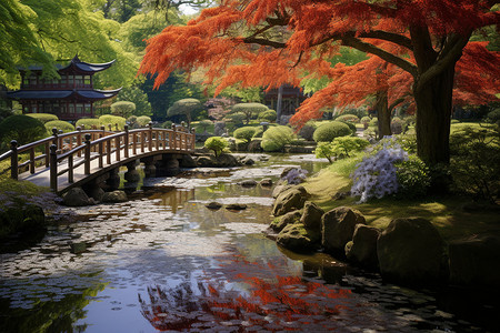 日本文化观赏花园高清图片