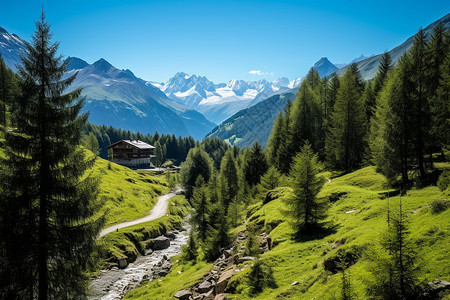 瑞士的一个国家级公园图片