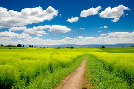 诗歌节田园诗歌般的乡间背景