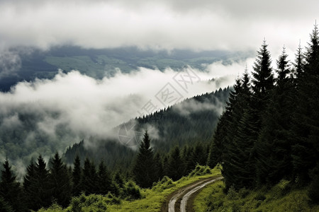 喀尔巴阡山脉的壮观景象高清图片