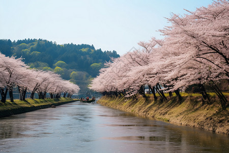 日本自然风景图片