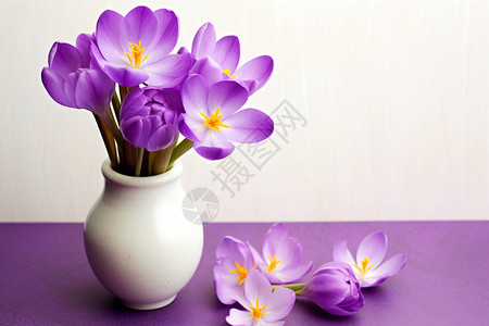庆祝节日的紫色鲜花图片