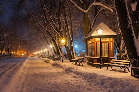 白雪皑皑的屋子图片