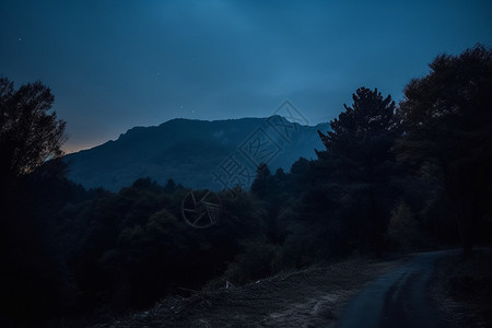 林间夜景黑暗的树林背景