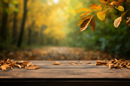 户外木秋天户外的风景设计图片