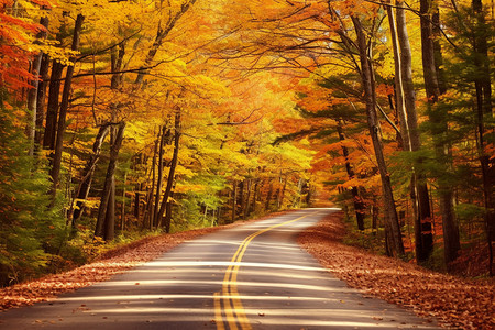 平坦的道路立秋秋天路高清图片