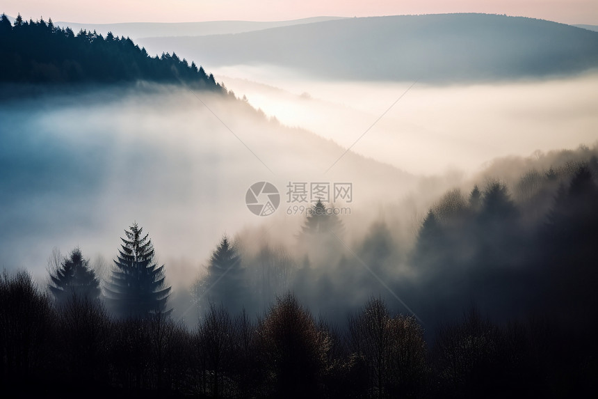 森林里的薄雾图片