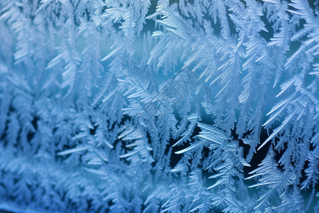 大雪天气冻结的冰霜设计图片