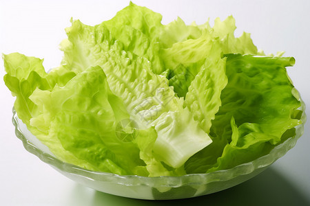 新鲜的蔬菜绿叶生菜高清图片