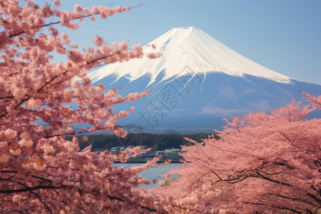 富士山美丽的风景背景图片