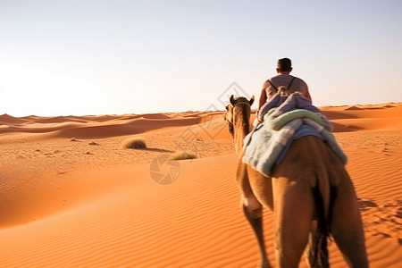 骑骆驼在沙漠上的人图片