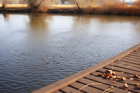 池塘的河流景观图片