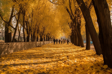 铺满落叶的道路背景图片