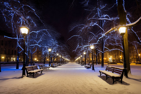 覆盖的椅子公园雪地上的凳子背景