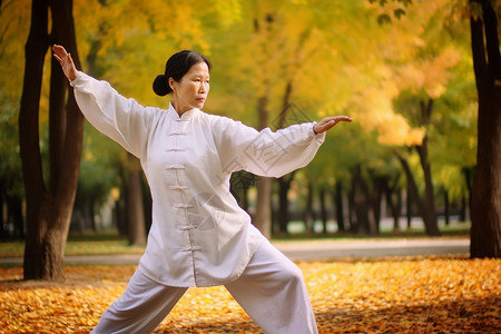 公园里练太极的女士背景图片