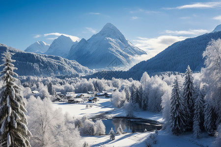 冬季的雪山森林图片