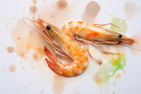 画虾健康营养的海鲜虾背景