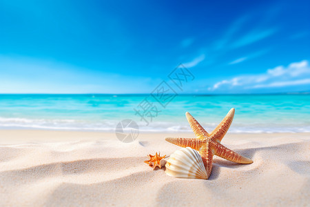 海星和海草惬意的沙滩背景