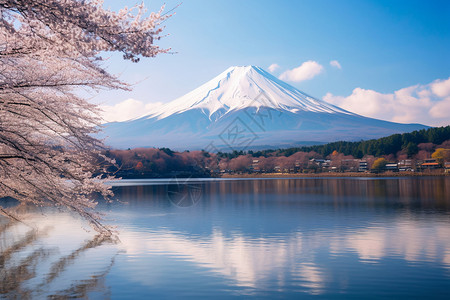 美丽的富士山背景图片