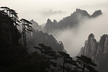 环绕着雾气的山间图片