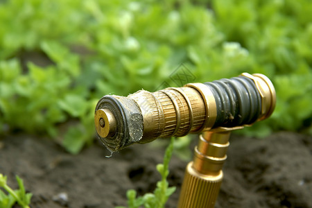 灌溉植物的喷嘴图片