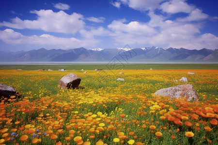 新疆自然美景图片