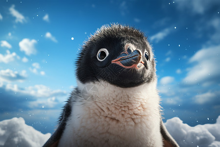 可爱企鹅表情蓝天下的企鹅设计图片