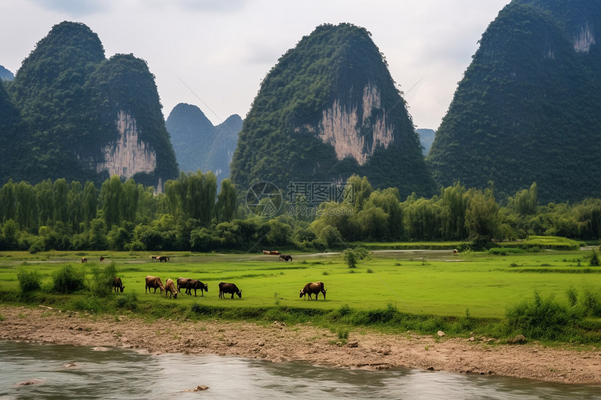 丘陵地区的畜牧业图片