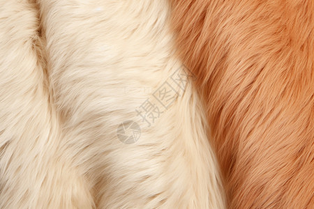 柔软的动物毛地毯图片